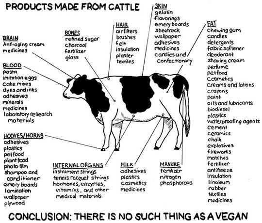 products-made-from-cow-vegan.jpg
