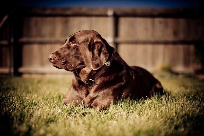 IMAGE: http://i94.photobucket.com/albums/l100/mabryb/booray/booray-5.jpg