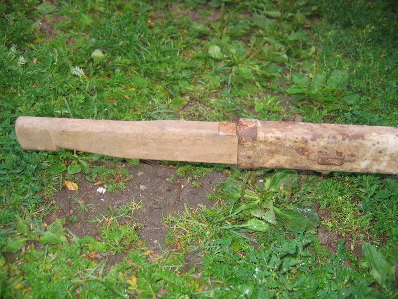 Pilt