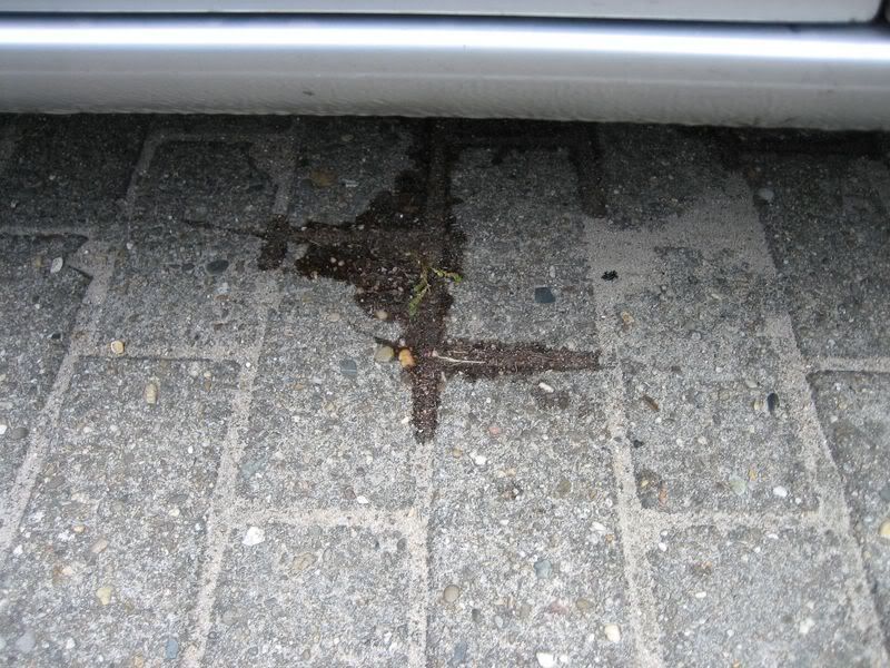 Geplaatste afbeelding
