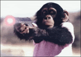 7806348_l1.gif