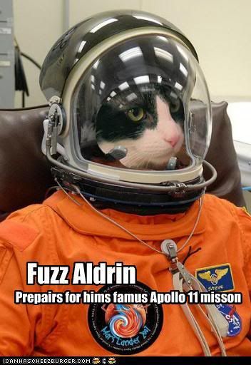 69f13_funny-pictures-fuzz-aldrin.jpg