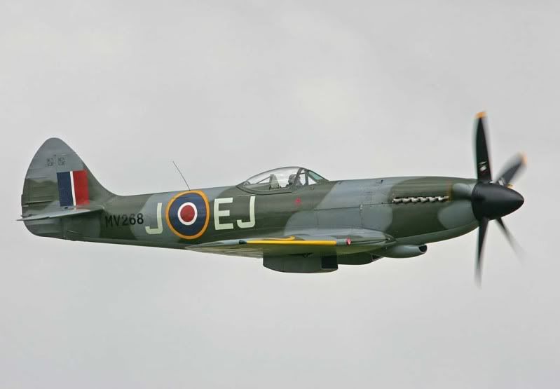 dux21.jpg