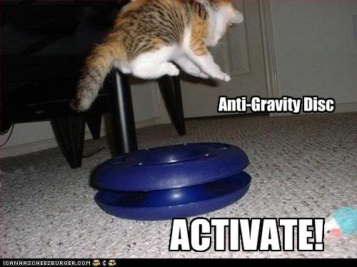 funny-pictures-cat-has-anti-gravity-device.jpg