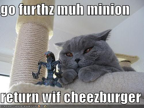 funny-pictures-cat-sends-minion-for.jpg