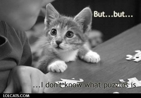 lolcatsdotcomib5v9oe8urvsgmh0.jpg