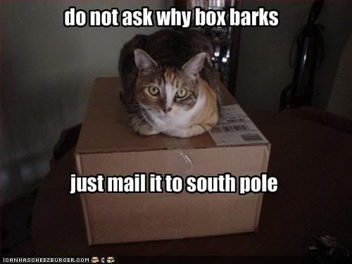 south-pole.jpg