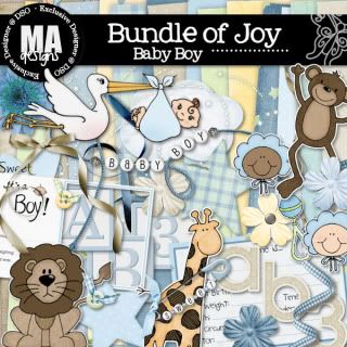 Bundle of Joy Baby Boy