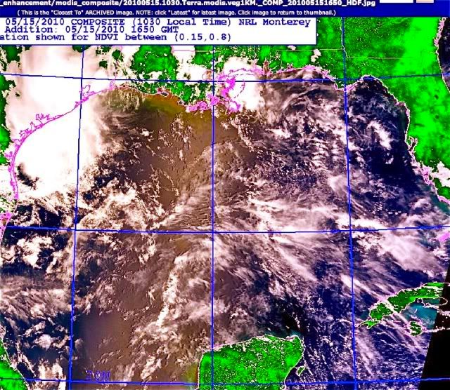 BP Oil Spill 2010,Climate,Nature,Tragedy,Gulf of Mexico,Oil Spill,Gulf of Mexico Satellite Picture