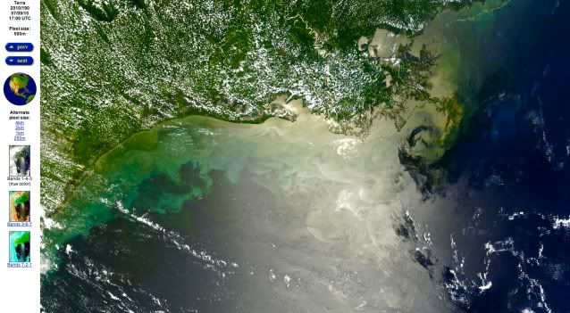 BP oil spill,texas coast,achalafalay bay