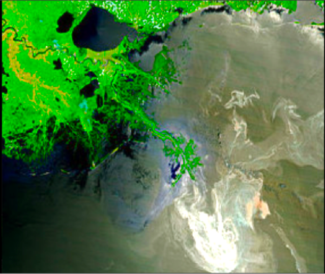 BP Oil Spill 2010,Climate,Nature,Tragedy,Gulf of Mexico,Oil Spill,Gulf of Mexico Satellite Picture