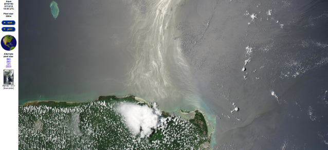 BP oil spill,Gulf of Mexico,Yucatan Peninsula bp oil spill
