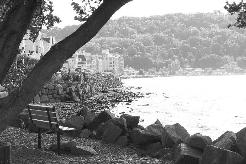 IMAGE: http://i94.photobucket.com/albums/l108/miniflash_2006/black%20and%20white/IMG_5291.jpg