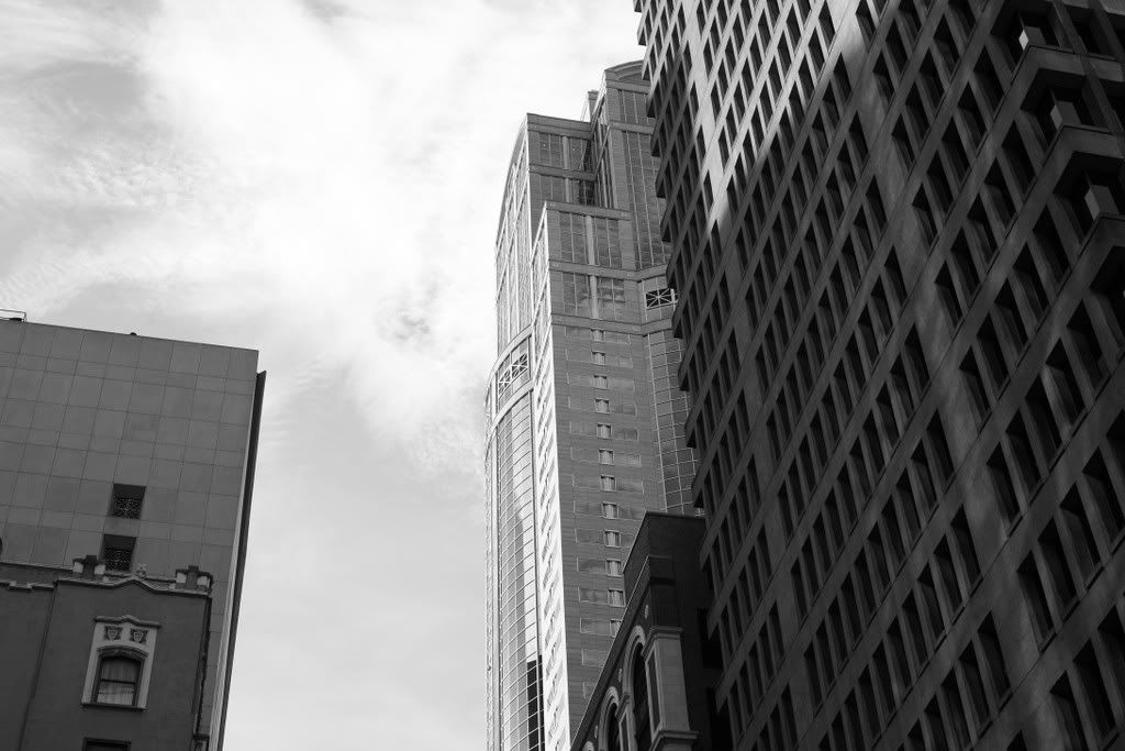 IMAGE: http://i94.photobucket.com/albums/l108/miniflash_2006/black%20and%20white/IMG_6303JPGbw.jpg