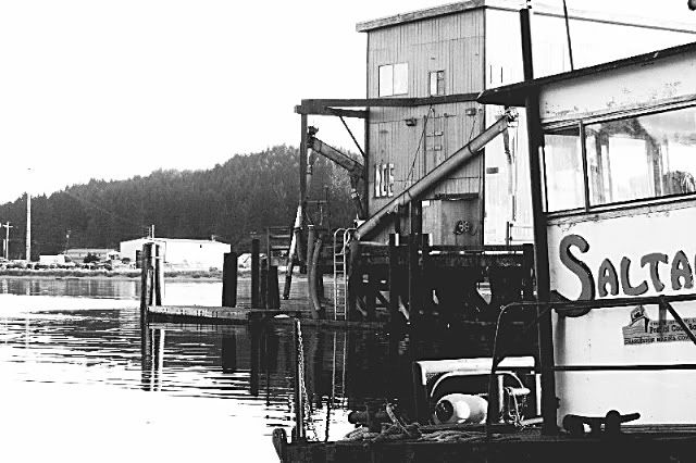 IMAGE: http://i94.photobucket.com/albums/l108/miniflash_2006/black%20and%20white/TheDocks028LargeWebview.jpg