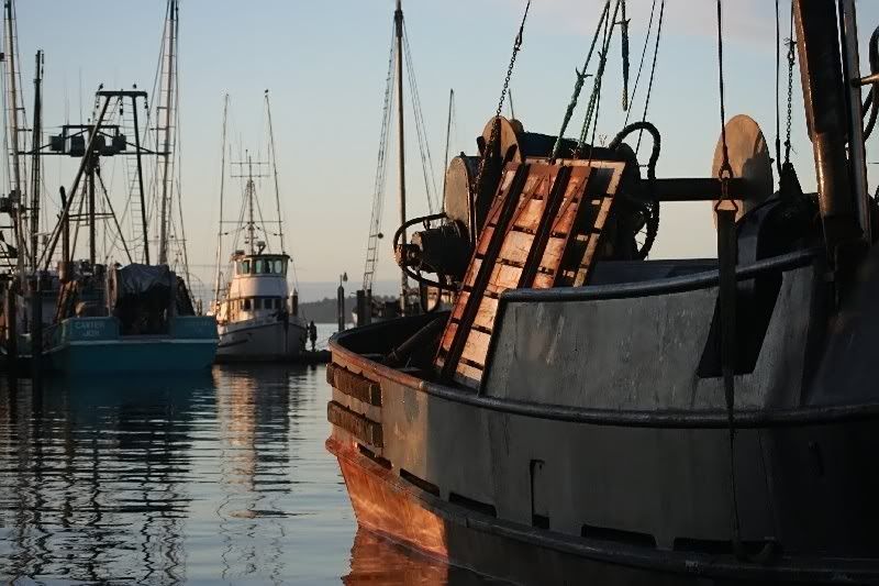 IMAGE: http://i94.photobucket.com/albums/l108/miniflash_2006/boats/TheDocks032_filtered.jpg
