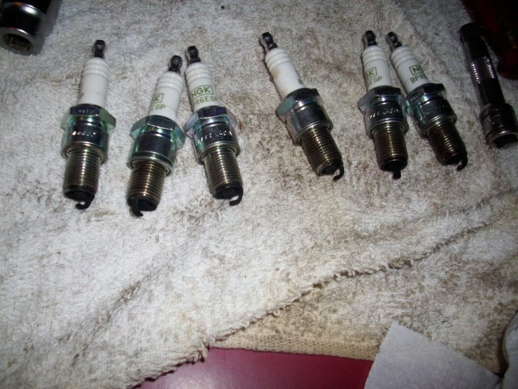 DSCI0308.jpg