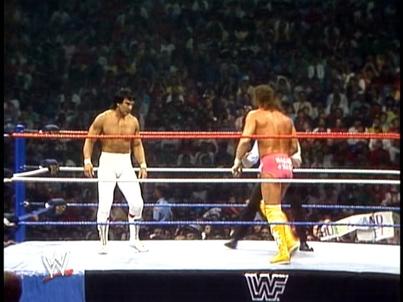 VoicesofWrestling.com - WWF WrestleMania 3 