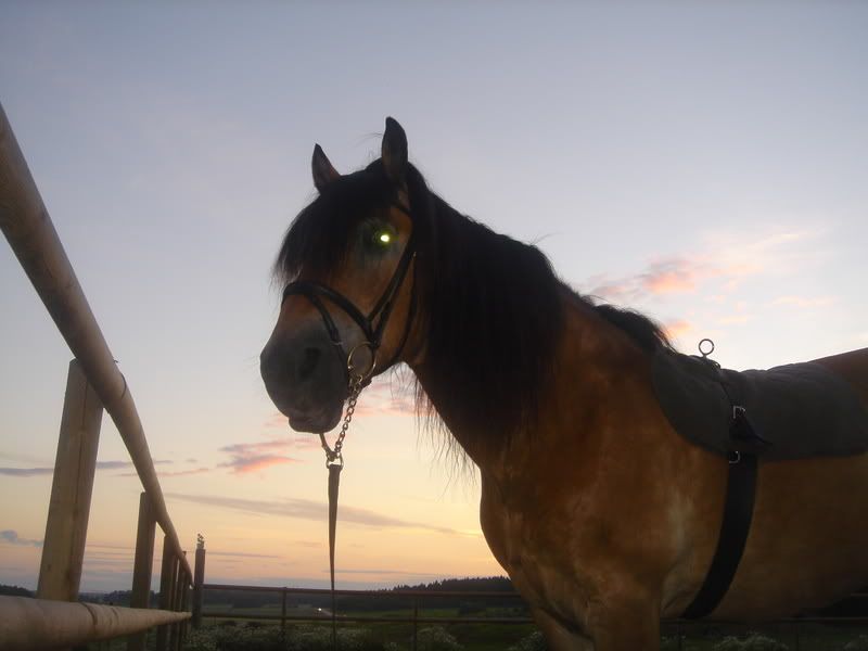 080703008.jpg