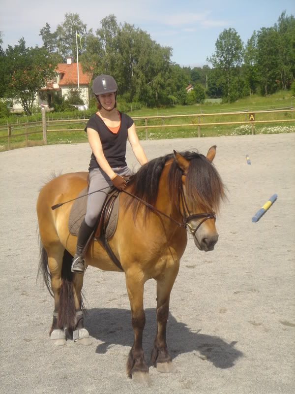 5juli020.jpg