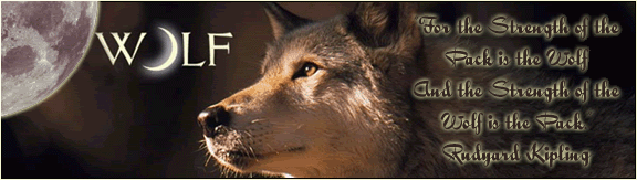 Wolf banner