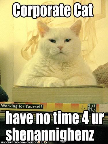 funny-pictures-corporate-cat.jpg