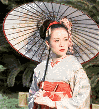 zzy geisha Pictures, Images and Photos