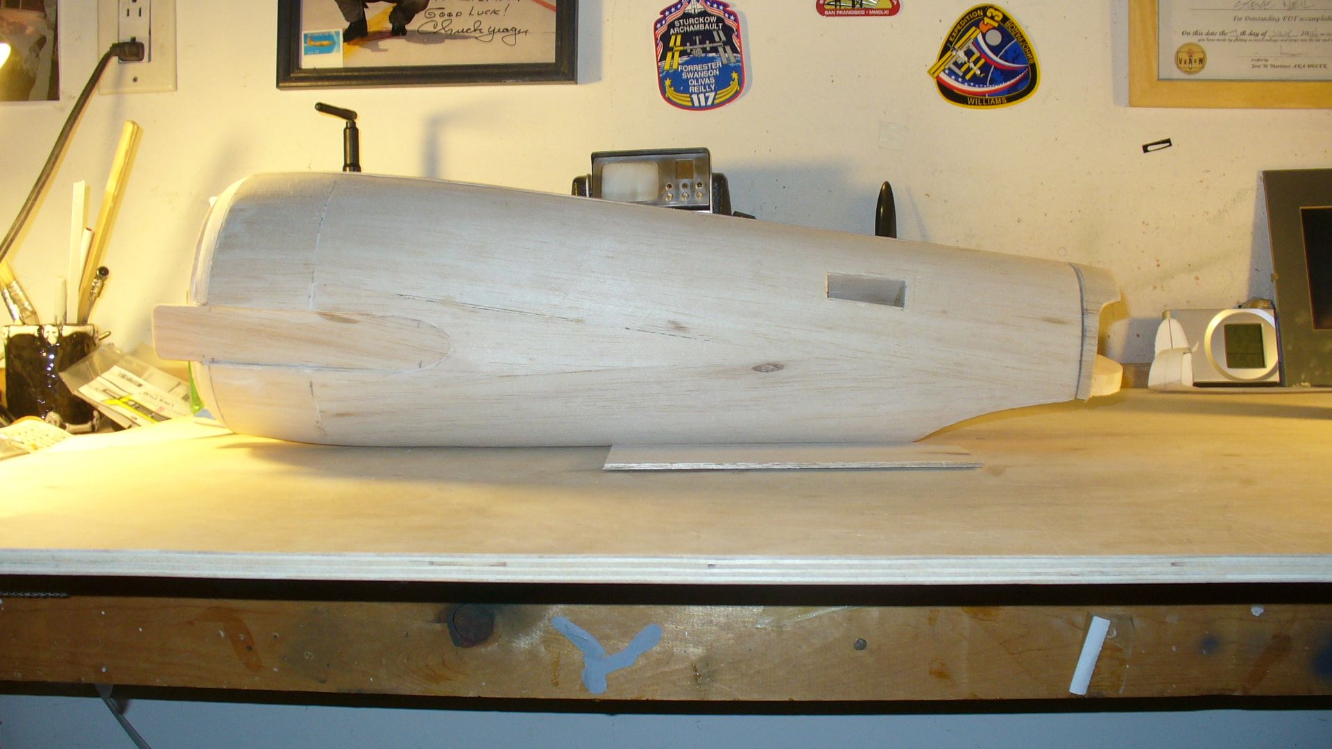 P1050545.jpg