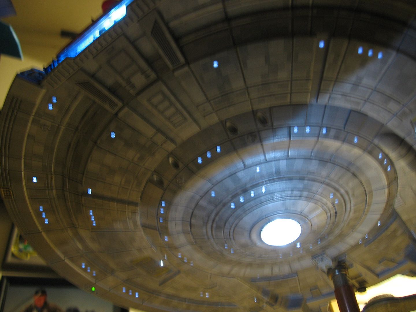 IMG_6537.jpg