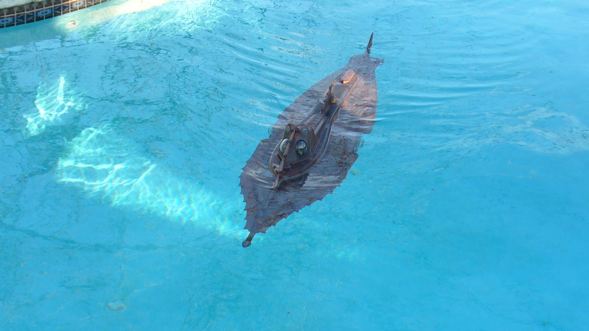 P1050849.jpg