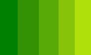shadingf.jpg