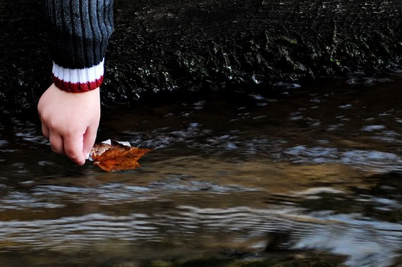 hand with leaf