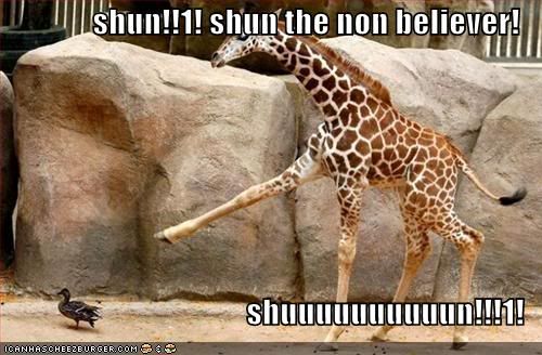 10084-iroas-albums-lulz-picture2713-funny-pictures-giraffe-shuns-duck1.jpg