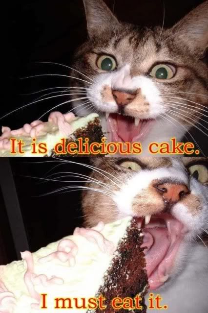 Fun_Cat_Eat_Cake.jpg