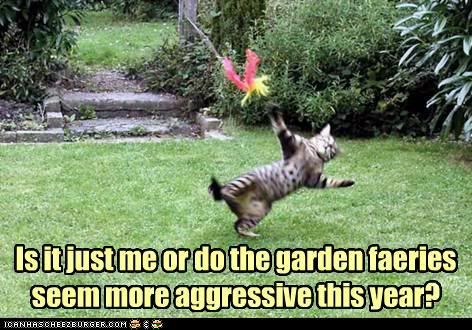 funny-pictures-is-it-just-me-or-do-the-garden-faeries-seem-more-aggressive-this-year.jpg
