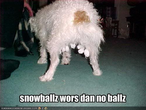snowballs.jpg