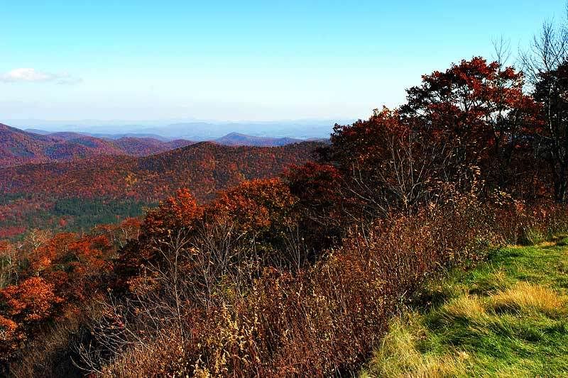 IMAGE: http://i94.photobucket.com/albums/l120/JohnTrogdon/BRPhillsweb.jpg