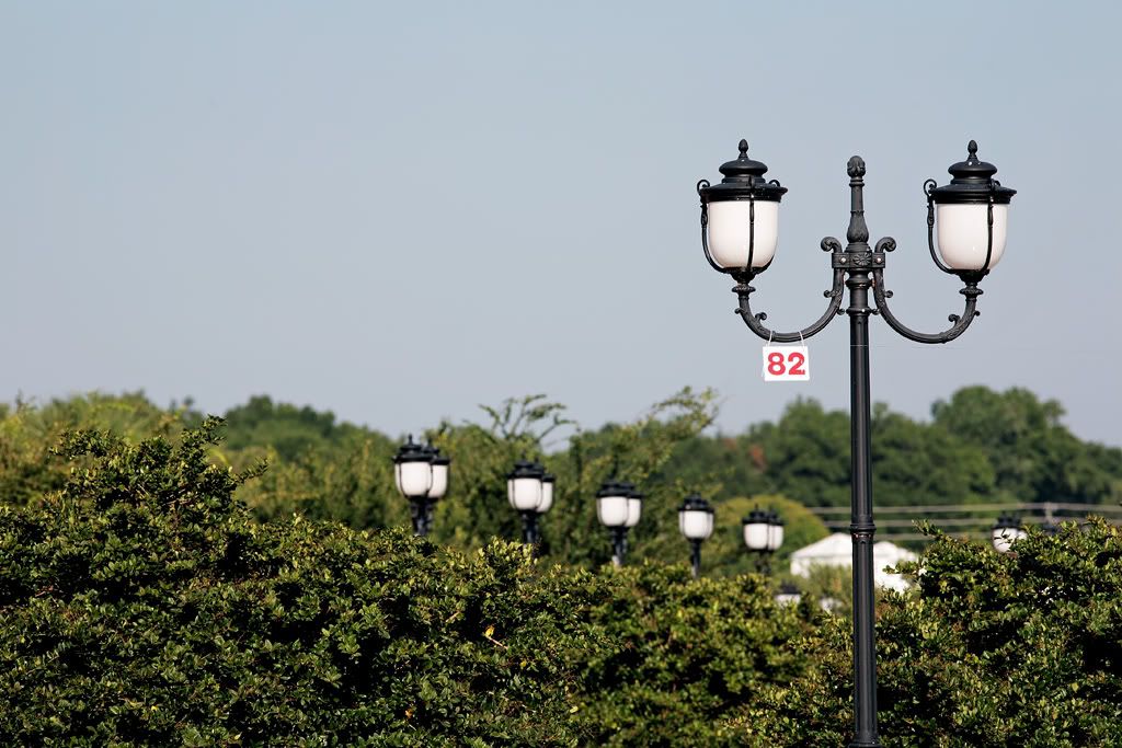 IMAGE: http://i94.photobucket.com/albums/l120/JohnTrogdon/IMG_1876web.jpg