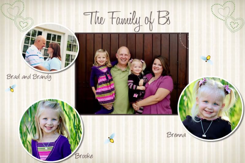 The Family of B's
