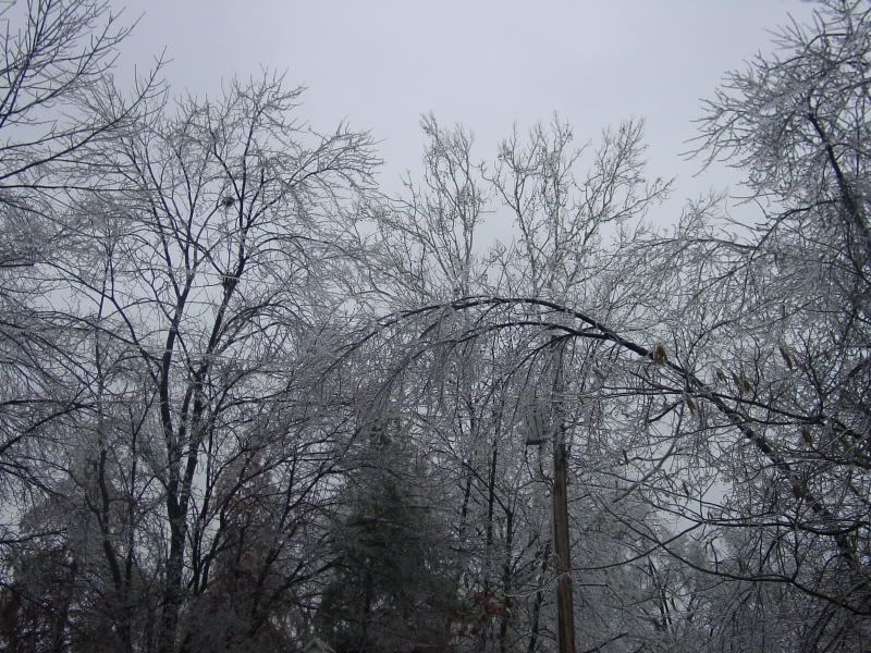 winterstorm004.jpg