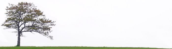 click to hide banner header