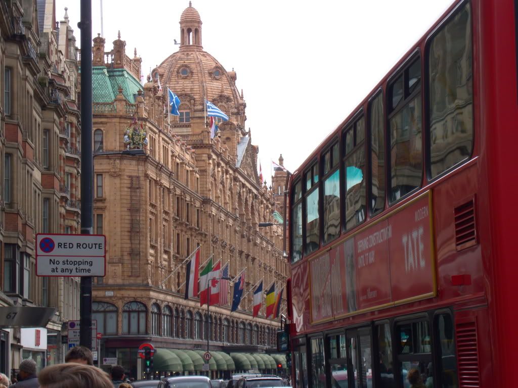 DSC02646.jpg