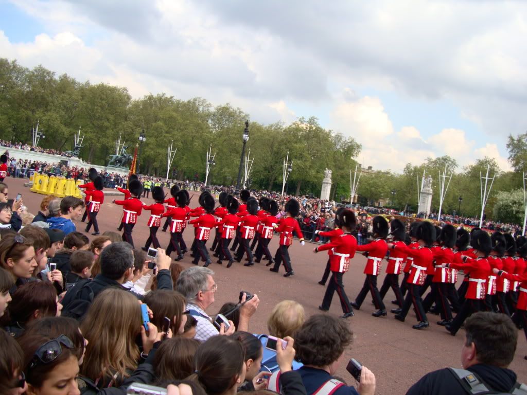 DSC02681-1.jpg