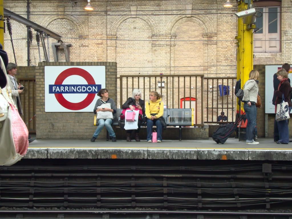 DSC02740.jpg