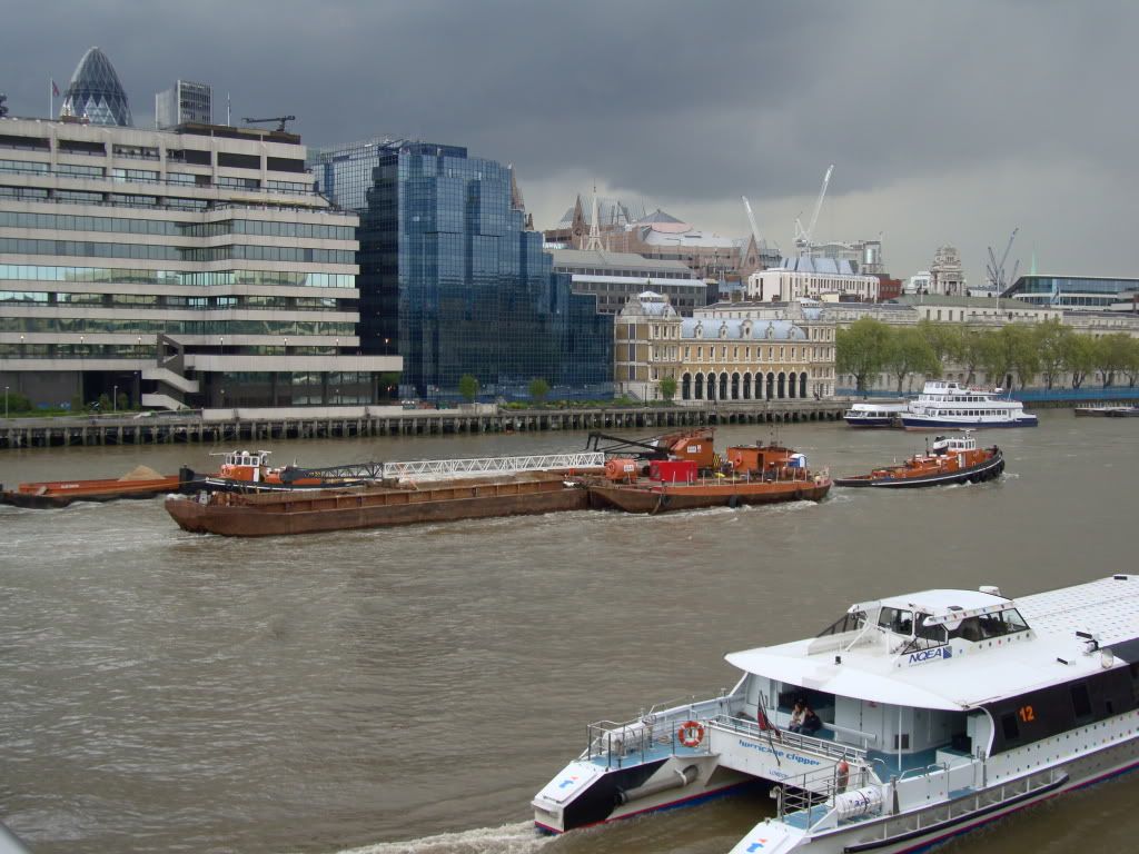 DSC02745.jpg
