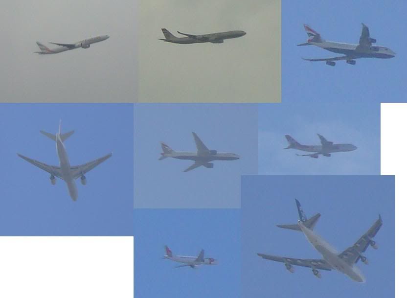 collage.jpg