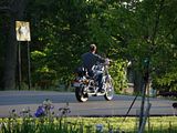 DSC00199.jpg image by Shut-R-Bug