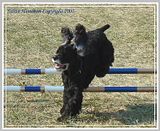 DSC01003shrpcrphmsFX.jpg image by Shut-R-Bug