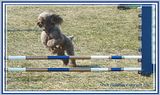 DSC01005shrphmsFX.jpg image by Shut-R-Bug