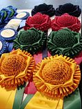 DSC01413.jpg A patch of color. image by Shut-R-Bug